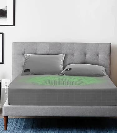 Bird Banner Background