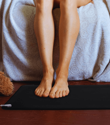 Bird Banner Background